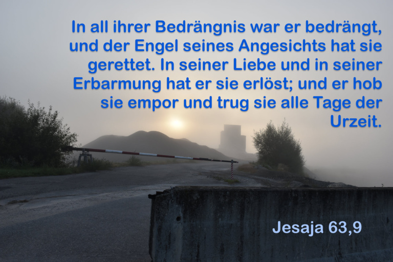 Kiesgrube Wil im Herbstnebel am Morgen 1 mit Jesaja 63