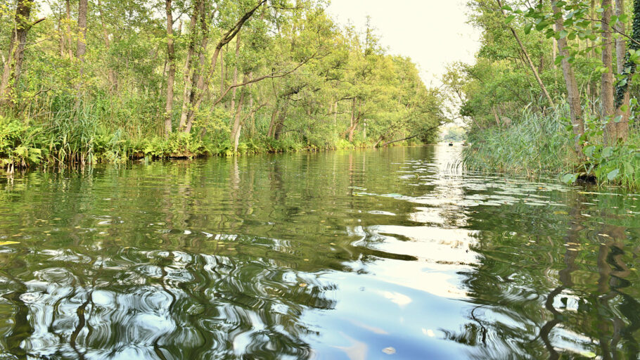 Reiherhals-Kanutour-Kanal
