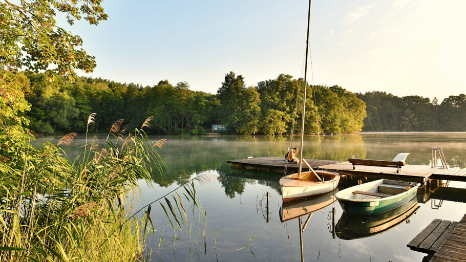 Reiherhals Morgenstimmung am Steg