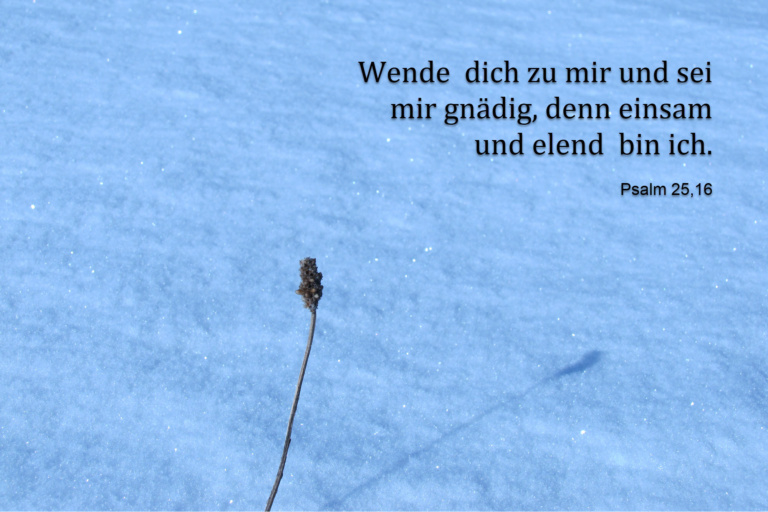 Schnee und Halm